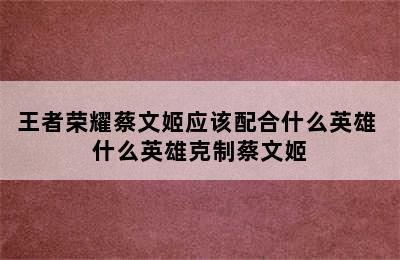 王者荣耀蔡文姬应该配合什么英雄 什么英雄克制蔡文姬